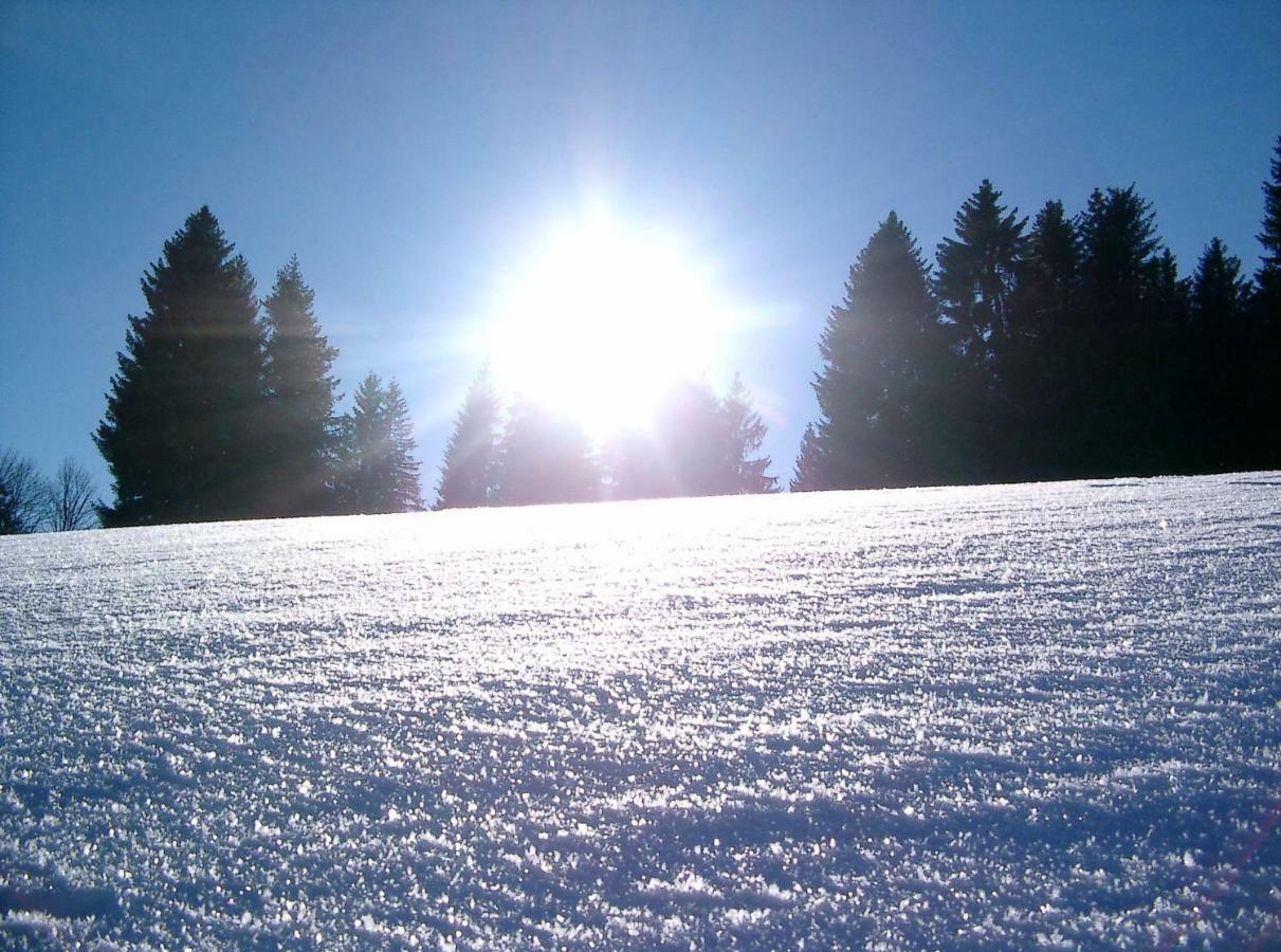 Weitblick "Entspannen - Wohlfuehlen - Aktiv Erholen" Elzach Esterno foto