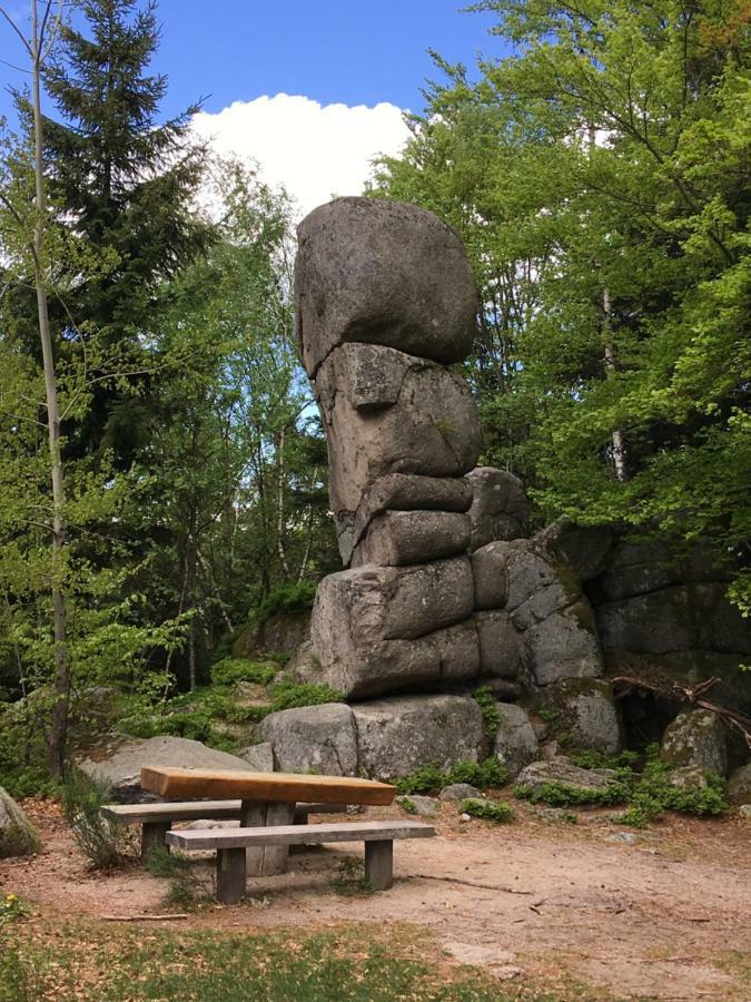 Weitblick "Entspannen - Wohlfuehlen - Aktiv Erholen" Elzach Esterno foto